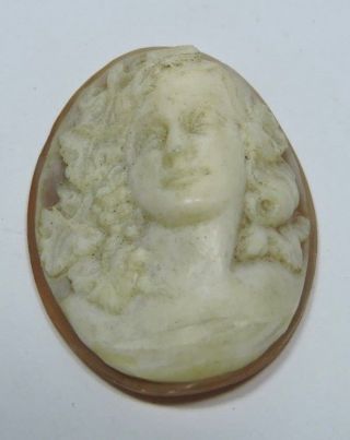 Nos Antique Hand Carved Oval Shell Cameo Stone Deco Woman Deep Detail Aa410