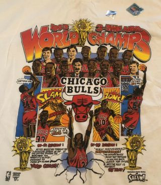 Vintage Chicago Bulls 1993 3 Time NBA World Champs Comic Series Shirt Salem 2