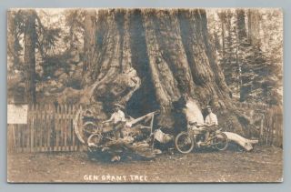 Motorcycle Men By General Grant Sequoia Tree Rppc Antique California Photo 1915