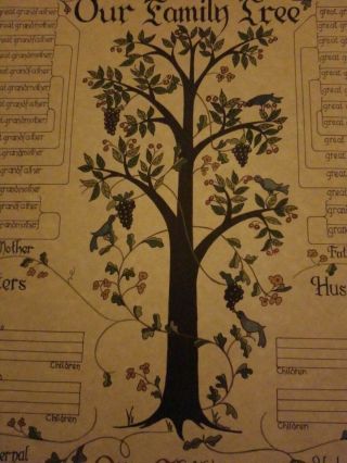 Our Family Tree Pennsylvania Dutch Vintage Blank Genealogy Chart Stevenson 1975 2