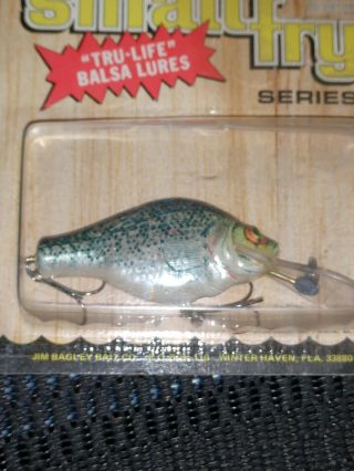 Bagley ' s Small Fry Crappie Crankbait TFF Vintage Wood Fishing Lure NIC 2DSF2 - C 2