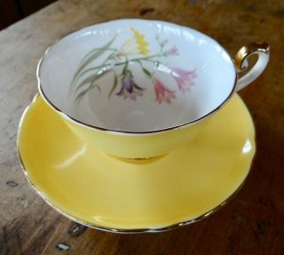 Vintage Shelley " Freesia " Lincoln Shape Teacup And Saucer Pattern 0456