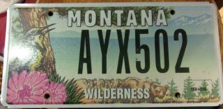 Explore Montana Wilderness License Plate Ayx 502 2