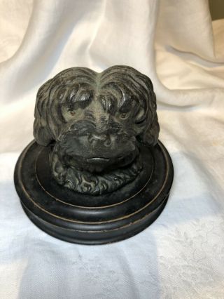 Large Antique Inkwell Of Shaggy Terrier Dog With Glass Eyes On Wooden Base