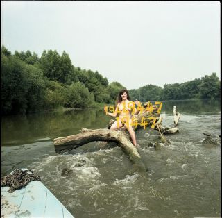 Nude Naturist Girl Posing In River,  1970 