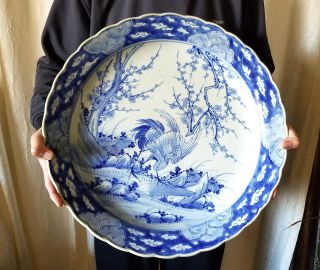 Very Large Antique Chinese Or Japanese White Blue Plate