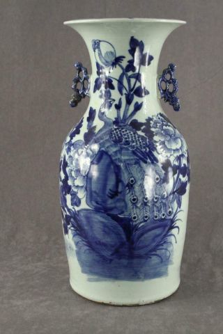 Antique 19th C Chinese Qing Dynasty Vase Cobalt Blue On Celadon Baluster Peacock