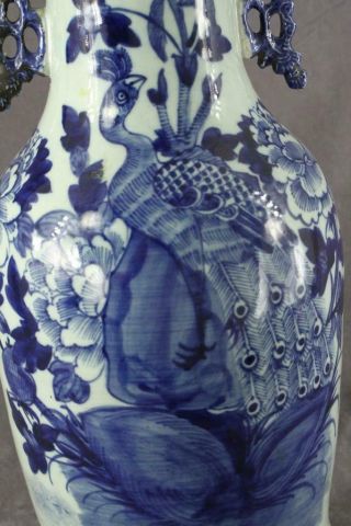 Antique 19th C Chinese Qing Dynasty Vase Cobalt Blue on Celadon Baluster PEACOCK 2