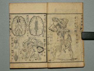 Antique Japanese Woodblock Printed Book In The Meiji Era 1874 Western Anatomy