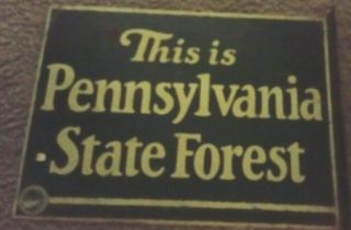 Unusual Vintage Pennsylvania State Forest Tin Two - Sided Flange Sign 50s - 60s