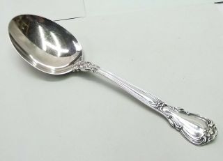 Antique Gorham Sterling Silver Chantilly Serving Spoon Pat 1895 8.  5 " Vtg Large