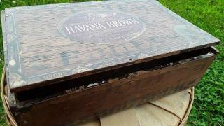 Vintage Wooden Cigar Box - Havana Brown