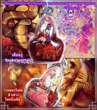 Magic Thai Snake Amulet Lp Ajarn O Bring Fortune Wealth Lucky Gambling Talisman