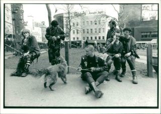 Vintage Photograph Of Six Punks On The Street With A Dog