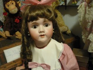 Antique German Doll Heinrich Handwerck 30 Inches Beauty - Antique Doll Stamped