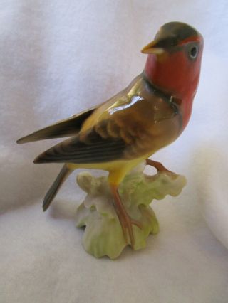Vintage Hutschenreuther Selb Kunstabteilung K.  Tutter Bird Figurine