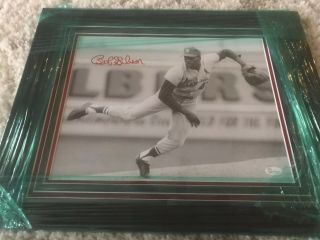 Framed Bob Gibson St.  Louis Cardinals Signed 8 " X 10 " Signed In Red Ink Jsa