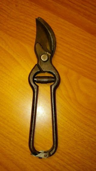 Vintage Pruning Shears Garden Clippers Hand Snips Trimmer 9 Inches