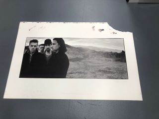 Vintage U2 The Joshua Tree Album Cover Print Uncut Pre - Production Proof Sheet
