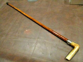 Usmb.  21: Antique Bone Handle Sterling Collar Folk Walking Stick Cane Great Shaft