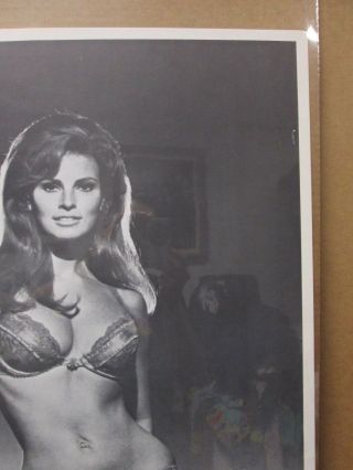 Rachel Welch Hot Girl black and white Vintage Poster 1970 ' s Inv 1867 2