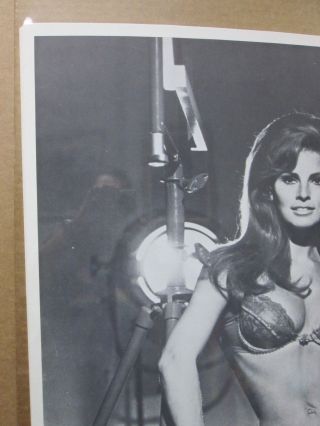 Rachel Welch Hot Girl black and white Vintage Poster 1970 ' s Inv 1867 3