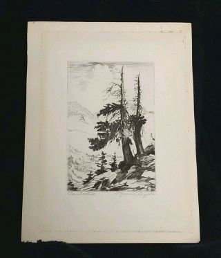 A Vintage Etching Signed & Titled " Timberline " By Colorado Artist Lyman Byxbe