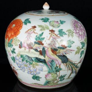 Chinese Famille Rose Porcelain Vase Jar Phoenix & Flowers Urn 19th C.