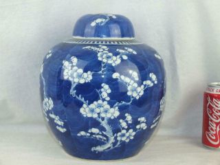 Large Fine 19th C Chinese Porcelain Kangxi Marks Blue & White Prunus Jar & Cover