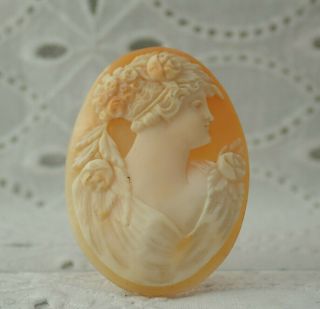 Antique Large Oval Carved Shell Loose Cameo Art Deco Flapper 40 Mm X 28 Mm Oval