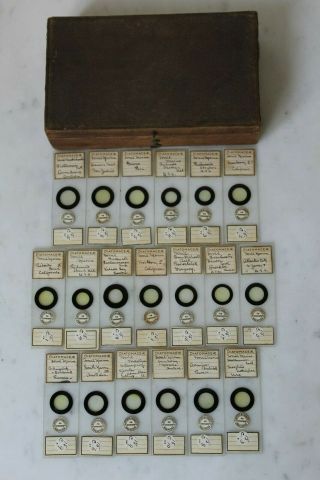 Very Fine Cased Set Of 19 Antique Fossil Diatom Microscope Slides By F.  &g.  C1900