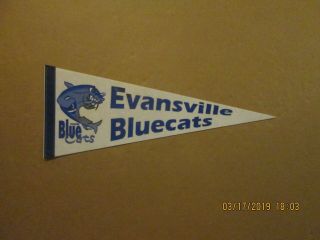 Uif Evansville Bluecats Vintage Defunct 2005 Team Logo Indoor Football Pennant