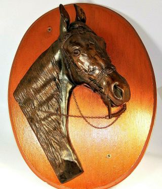 Vintage Bronze Horse Head On Painted Wood Plaque Large 3 - D Bridle And Head