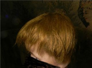Antique Brown Mohair Wig,  Boy Or Baby 10 " C.