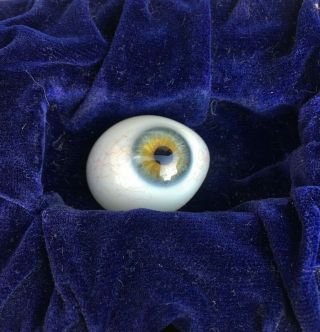 Vintage Antique Glass Human Bluish Eye Prosthetic Oddities Macabre Bluebusdave