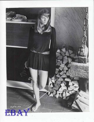Julie Christie Sexy Leggy Barefoot Vintage Photo In Search Of Gregory