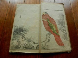 Orig Japanese Woodblock Print Book Set (2 Vols) Kachoga Birds & Nature C1830