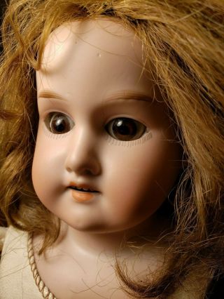 Antique Bisque Doll Armand Marseille 2/0 X Florodora Kid Body Sleep Eyes