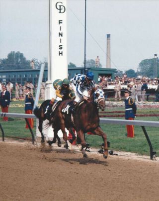 Secretariat & Ron Turcotte - 1973 Kentucky Derby Horse Racing Photo