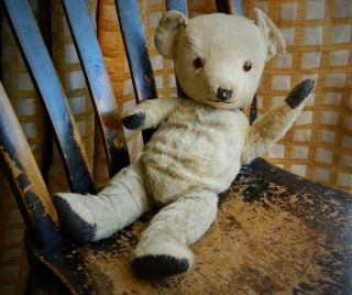 Chiltern Vintage 1940s Golden Plush Mohair Jointed 16 " Teddy Bear 