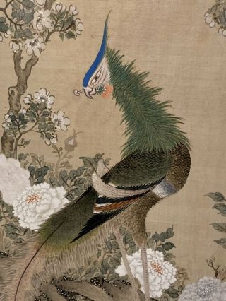 Rare Antique Chinese Silk Work Phoenix Framed 19th Century