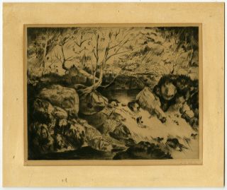 Antique Print - Forest Landscape - River Rapids - Stone - Melis - Ca.  1940