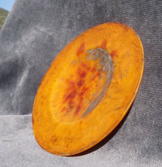Antique German Faturan Butterscotch Amber Bakelite Plate Dish Charger 3