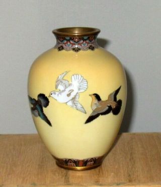 Very Fine Early Meiji Japanese Cloisonne Enamel Vase W/ Pigeons -