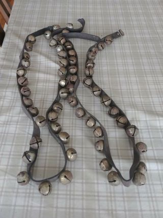 Pair Antique Brass Sleigh Bells On 66 " Leather Horse Belt Strap 1800 