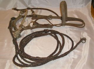 Vintage Brown Leather Horse Halter / Bridle,  Snaffle Bit,  2 6 - Foot Braided Leads