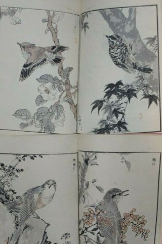 Fine 19thc Japanese Edo Antique Woodblock Printed Book Of Birds X 2
