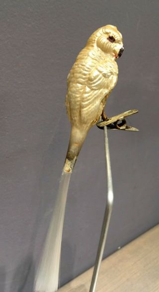 Handsome Parrot Clip - On Bird Antique Mercury Glass German Christmas Ornament