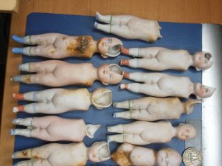 antique 20 colored whole doll bodies Germany 1880 3