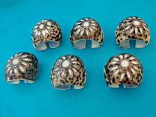 Set Of 6 Carved Cowry Shell Napkin Rings Holder Vtg Artist Carved Flower Design